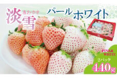  【先行予約令和8年1月配送開始】 淡雪＆パールホワイト（各１パック）220g×2（合計440g）農家直送 水田苺園　農家 直送品 果物 くだもの フルーツ 人気 ランキング  高評価 苺 イチゴ 
