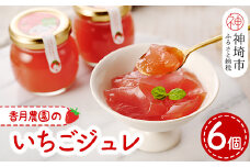 いちごジュレ6個セット 【佐賀県産 夏におすすめ シャーベット ひんやりスイーツ】(H017110)