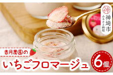 いちごフロマージュ6個セット 【佐賀県産 クリームチーズ 生クリーム ドライいちご 贅沢】(H017105)