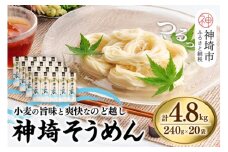 神埼そうめん(240g×20袋) 【そうめん 麺 神埼 めん 素麺 佐賀特産品 かんざき 九州 佐賀 ギフト 贈答用 名産品】(H020101)