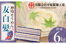 神埼そうめん「友白髪」 30袋入り 【麺 明治時代 お歳暮 お中元 ひやむぎ 冷麦 おみやげ お土産 夏】(H045103)