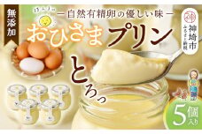 おひさまプリン5個セット 【スイーツ 平飼い 無添加 有精卵 ミルン牧場 牛乳 プリン県 プリンマップ】(H073108)