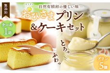 おひさまプリン&ケーキセット【スイーツ 平飼い 無添加 有精卵 ミルン牧場 牛乳 プリン県 プリンマップ 】 (H073110)