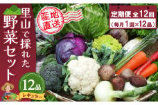年間定期便12回 里山で採れた野菜セットレギュラー 12品 【有機野菜 おまかせ野菜セット イタリア野菜 西洋野菜 定期便】(H078139)
