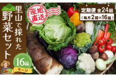 年間定期便24回 里山で採れた野菜セットラージ 16品 【有機野菜 おまかせ野菜セット イタリア野菜 西洋野菜 定期便】(H078111)