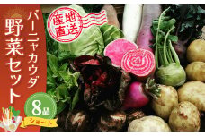 バーニャカウダ野菜セットショート 8品 【有機野菜 おまかせ野菜セット イタリア野菜 西洋野菜】(H078113)