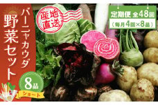 年間定期便48回 バーニャカウダ野菜セットショート 8品 【有機野菜 おまかせ野菜セット イタリア野菜 西洋野菜 定期便】(H078116)