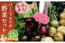バーニャカウダ野菜セットレギュラー 12品 【有機野菜 おまかせ野菜セット イタリア野菜 西洋野菜】(H078117)