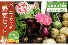 年間定期便24回 バーニャカウダ野菜セットレギュラー 12品 【有機野菜 おまかせ野菜セット イタリア野菜 西洋野菜 定期便】(H078144)
