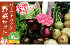 バーニャカウダ野菜セットラージ 16品 【有機野菜 おまかせ野菜セット イタリア野菜 西洋野菜】(H078121)