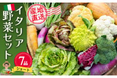 イタリア野菜セットショート 7品 【有機野菜 おまかせ野菜セット イタリア野菜 西洋野菜】(H078145)