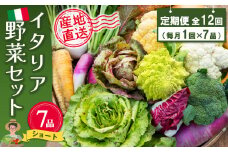 年間定期便12回 イタリア野菜セットショート 7品 【有機野菜 おまかせ野菜セット イタリア野菜 西洋野菜 定期便】(H078146)