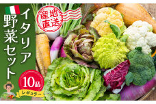 イタリア野菜セットレギュラー 10品 【有機野菜 おまかせ野菜セット イタリア野菜 西洋野菜】(H078148)