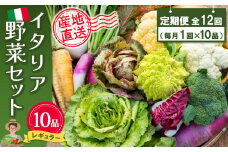 年間定期便12回 イタリア野菜セットレギュラー 10品 【有機野菜 おまかせ野菜セット イタリア野菜 西洋野菜 定期便】(H078149)