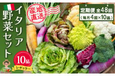 年間定期便48回 イタリア野菜セットレギュラー 10品 【有機野菜 おまかせ野菜セット イタリア野菜 西洋野菜 定期便】(H078151)