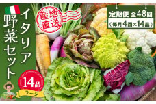年間定期便48回 イタリア野菜セットラージ 14品 【有機野菜 おまかせ野菜セット イタリア野菜 西洋野菜 定期便】(H078136)