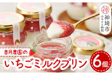 いちごミルクプリン6個セット【佐賀県産 さがほのか シャーベット プリン県  冷凍 果肉ソース スイーツ】 (H017113)