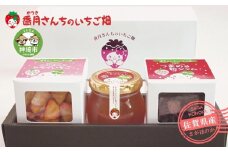 ひめかちゃんのキューブセット【いちご イチゴ 苺 さがほのか ドライフルーツ 佐賀県産 プチギフト 凍らせてシャーベット】 (H017114)