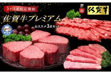 【佐賀牛プレミアム】ヒレシャトーブリアンなどオススメ3点セット【定期便5回】【シャトーブリアン 定期便 5回 サーロインステーキ ステーキ 冷凍 国産 人気 佐賀牛 ブランド牛 贅沢 お祝い 贈り物 プレゼント ギフト】(H065140)