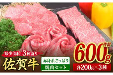 佐賀牛 希少部位 焼肉3点盛り合わせ【赤身系さっぱり】 600g （200gx3種） A5 A4【希少 国産和牛 牛肉 肉 牛 焼肉】(H085141)
