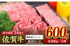 佐賀牛 希少部位 焼肉3点盛り合わせ【脂身系ジューシー】 600g （200gx3種） A5 A4【希少 国産和牛 牛肉 肉 牛 焼肉】(H085142)