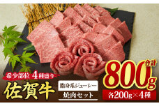 佐賀牛 希少部位 焼肉4点盛り合わせ【脂身系ジューシー】 800g （200gx4種） A5 A4【希少 国産和牛 牛肉 肉 牛 焼肉】(H085144)