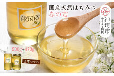 【数量限定】2025年産 国産天然蜂蜜（春の蜜）500g & 470g【合計970g】【蜂蜜 パンケーキ ヨーグルト 甘み フルーティ とろとろ】(H049114)