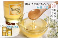 【数量限定】2025年産 国産天然蜂蜜（初夏の蜜）300g & 280g【合計580g】【蜂蜜 パンケーキ ヨーグルト 甘み フルーティ とろとろ】(H049128)