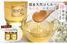 【春の蜜 & 初夏の蜜セット】2025年産 国産天然蜂蜜 春の蜜280g & 初夏の蜜280g【合計560g】【蜂蜜 パンケーキ ヨーグルト 甘み フルーティ とろとろ】(H049129)