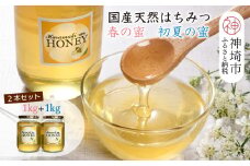 【春の蜜 & 初夏の蜜セット】2025年産 国産天然蜂蜜 春の蜜1kg & 初夏の蜜1kg【合計2kg】【蜂蜜 パンケーキ ヨーグルト 甘み フルーティ とろとろ】(H049121)