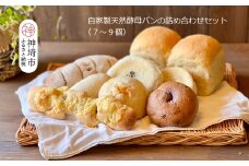 自家製天然酵母パンの詰め合わせセット【パンと器のコネル】 【パンと器のコネル 全粒粉 もっちりベーグル 国産小麦 パン 自家製 天然酵母 玄米麹 朝食 おやつ】(H094112)