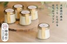 えこびと農園のとろけるはちみつプリン 5個セット 【スイーツ プリン プリン県佐賀 プリンマップ 生はちみつ 佐賀県産はちみつ はちみつプリン α-リノレン酸 おすすめ 手作り 無添加  美味しい】(H037140)