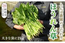 ほうれん草 2kg バラ詰め（大きな袋に2kg）【ハウス栽培 産地直送 クール便 佐賀県脊振山麓産】(H091117)