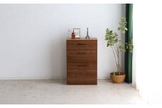 トラクト チェスト+60天板 WN 【家具 国産 組み合わせ 収納家具 完成品】(H060532)