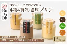 グルテンフリー専門店のつくる「4種の贅沢・濃厚プリン」16個入り【グルテンフリー 保存料不使用 プリン カスタードプリン 洋菓子 お菓子 スイーツ デザート おやつ】(H053305)