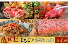 【4回定期便】 佐賀牛 まるごと欲張り お楽しみ便（合計3kg） 【希少 国産和牛 牛肉 肉 ヒレ サーロイン ロース ステーキ 特選 すき焼き】(H085146)