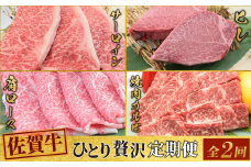 【2回定期便】 佐賀牛 ひとりで贅沢 お楽しみ便 （合計1.15kg） 【ステーキ ヒレ サーロイン 肩ロース すき焼き用 カルビ 焼肉用 牛肉 肉 国産和牛 】(H085148)
