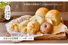 【定期便3回】自家製天然酵母パンの詰め合わせセット【パンと器のコネル】 【パンと器のコネル 全粒粉 もっちりベーグル 国産小麦 パン 自家製 天然酵母 玄米麹 朝食 おやつ】(H094117)