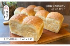 【定期便6回】自家製天然酵母の食パン 4斤【パンと器のコネル】 【パンと器のコネル 国産小麦 パン 自家製 天然酵母 玄米麹 朝食 おやつ】(H094127)
