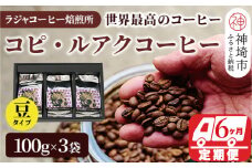 ジャコウネコ珈琲　コピ・ルアク 100g×3袋 合計300g【6回定期便】【最高級豆 幻のコーヒー】(H070108)