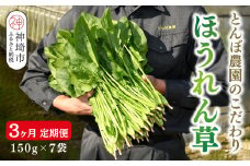 【定期便3回】ほうれん草 約1kg（150g x 7袋）【合計 約3kg】 【ハウス栽培 産地直送 クール便 新鮮発送 栄養豊富 佐賀県脊振山麓産】(H091119)