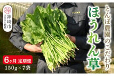 【定期便6回】ほうれん草 約1kg（150g x 7袋）【合計 約6kg】 【ハウス栽培 産地直送 クール便 新鮮発送 栄養豊富 佐賀県脊振山麓産】(H091120)