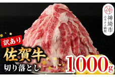 【9月発送】【訳あり】佐賀牛切り落とし1,000g【 冷凍 小分け 訳あり 訳アリ わけあり 肉 人気 規格外 不揃い 佐賀牛 A5 A4 黒毛和牛 国産 a5 a4  佐賀県 神埼市 500g × 2パック 合計 1kg 】(H106181)