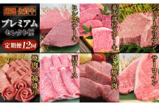 【特選定期便 全12回】 佐賀牛 プレミアムセレクト便【合計 23.4kg】【国産和牛 牛肉 肉 牛 ヒレ サーロイン シャトーブリアン 肩ロース ウデスライス ステーキ すき焼き しゃぶしゃぶ 焼肉】 (H085198)