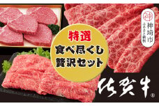 【3回定期便】佐賀牛特選食べ尽くし贅沢セット【佐賀牛 お肉 牛肉 すき焼き しゃぶしゃぶ ステーキ サーロイン】(H996P101)