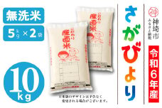 【令和6年産】さがびより 無洗米 5kg×2【米 お米 コメ 無洗米 おいしい ランキング 人気 国産 ブランド お得 地元農家】(H061479)
