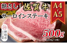 艶さし！【A4～A5】佐賀牛サーロインステーキ 500g(250g×2枚)【肉 牛肉 ブランド牛 黒毛和牛 ステーキ肉 ふるさと納税】(H112105)