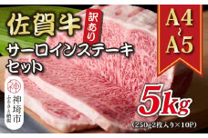 訳あり！【A4～A5】佐賀牛サーロインステーキセット 5kg(250g 2枚入り×10P)【肉 牛肉 ブランド牛 黒毛和牛 ふるさと納税】(H112130)