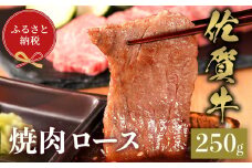 【和牛セレブ】佐賀牛 焼肉ロース 250g【肉 ブランド牛 和牛 牛肉 ふるさと納税】(H113104)