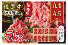 訳あり！【A4～A5】佐賀牛切り落とし 5kg(500g×10P)【肉 牛肉 ブランド牛 黒毛和牛 ふるさと納税】(H112140)